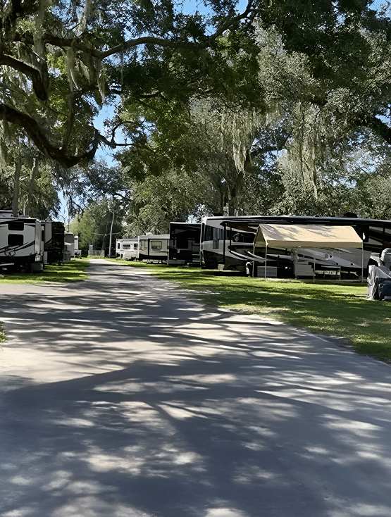 Campers parked along a sunny path