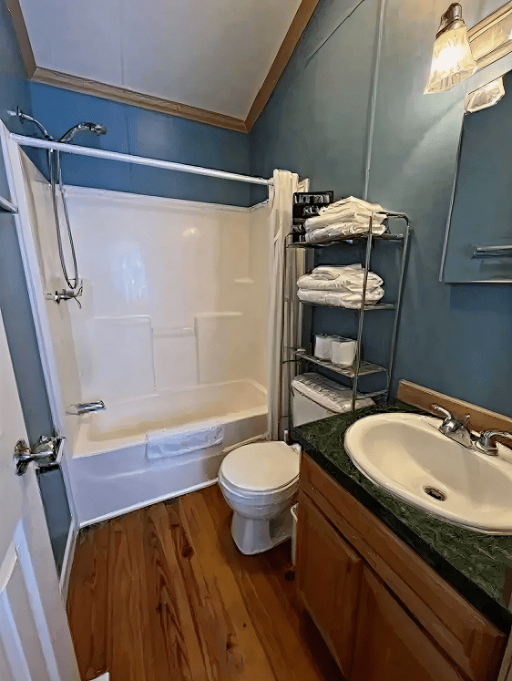 Compact bathroom with wooden floor