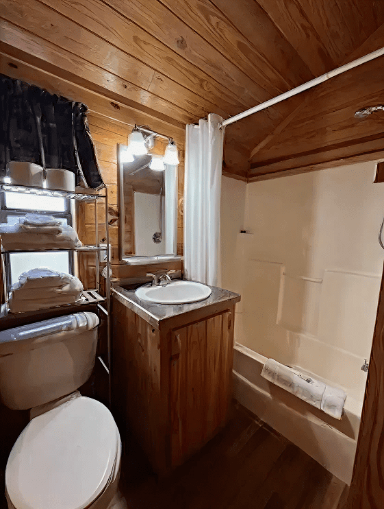 Cozy cabin bathroom interior design