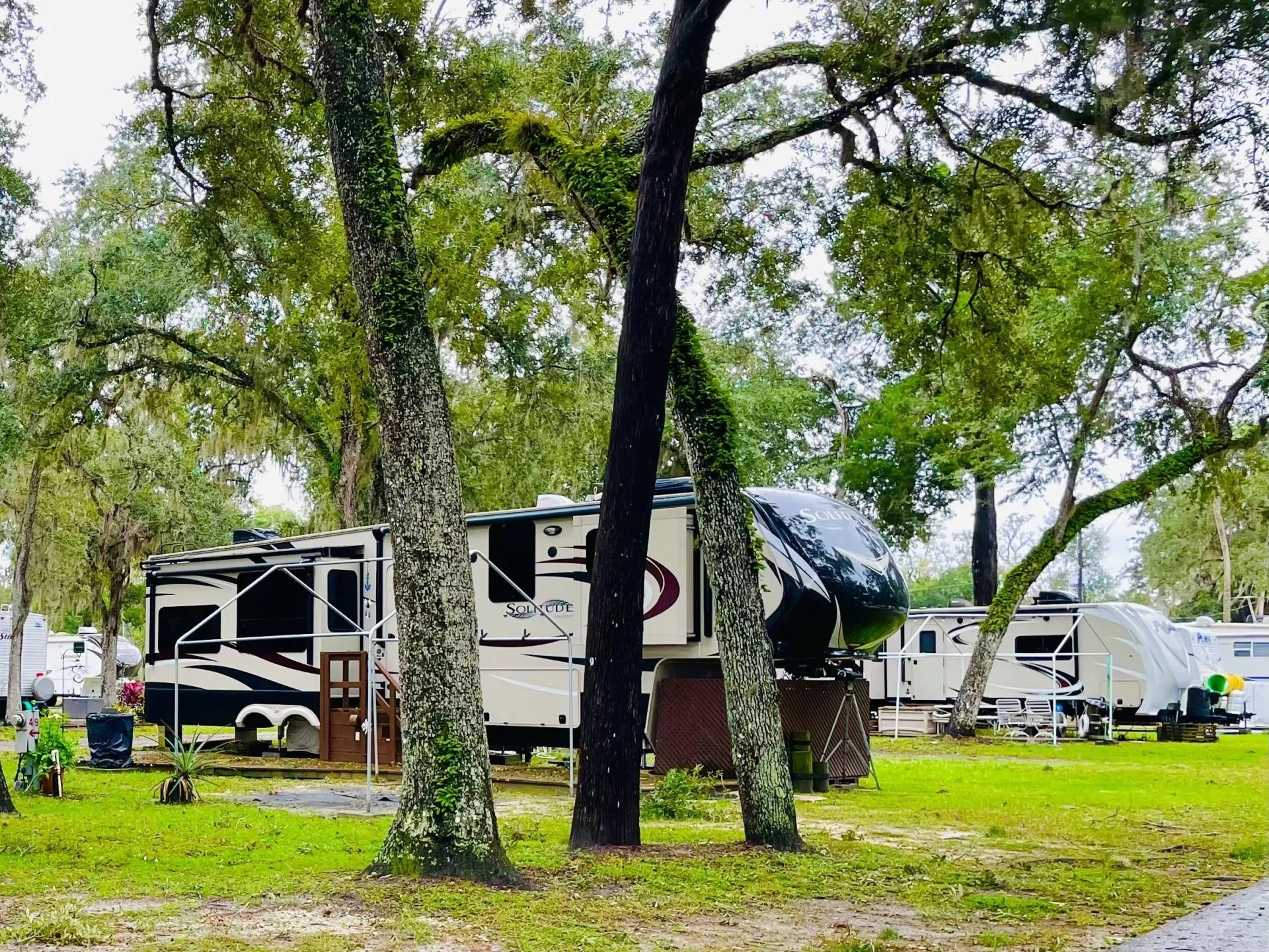 RV parked among trees in campground