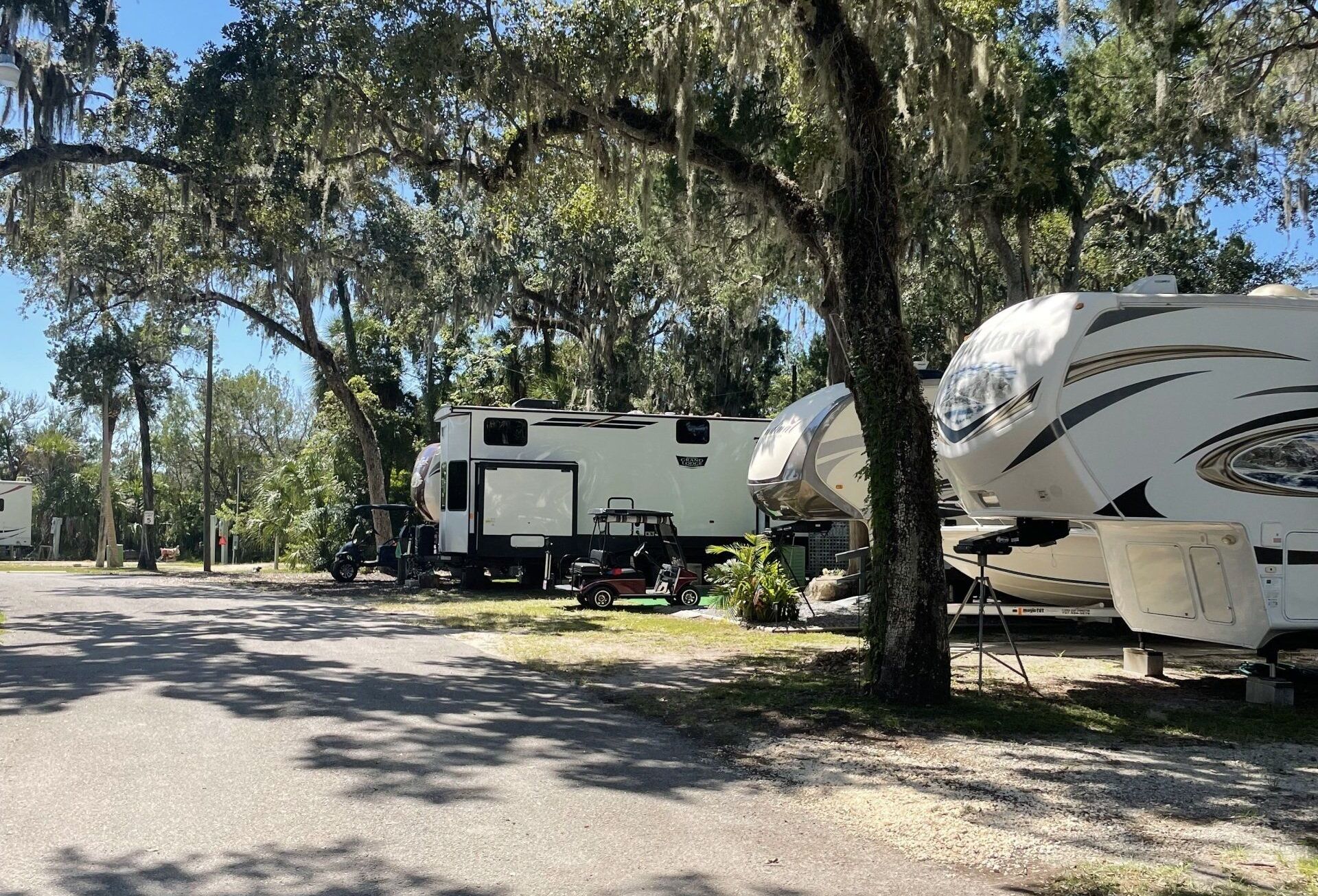 RVs parked under shady trees