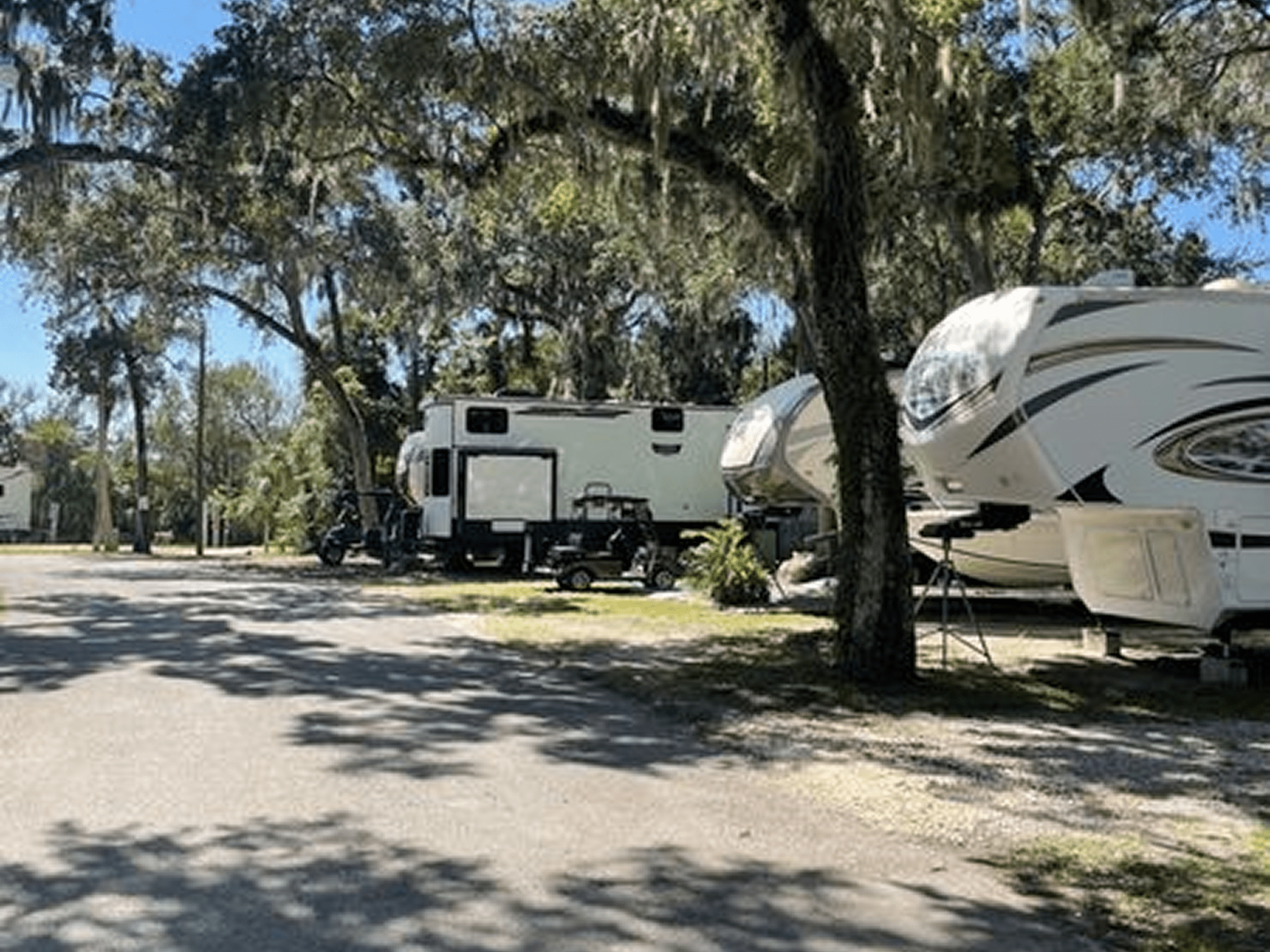 Sunny campsite with parked RVs