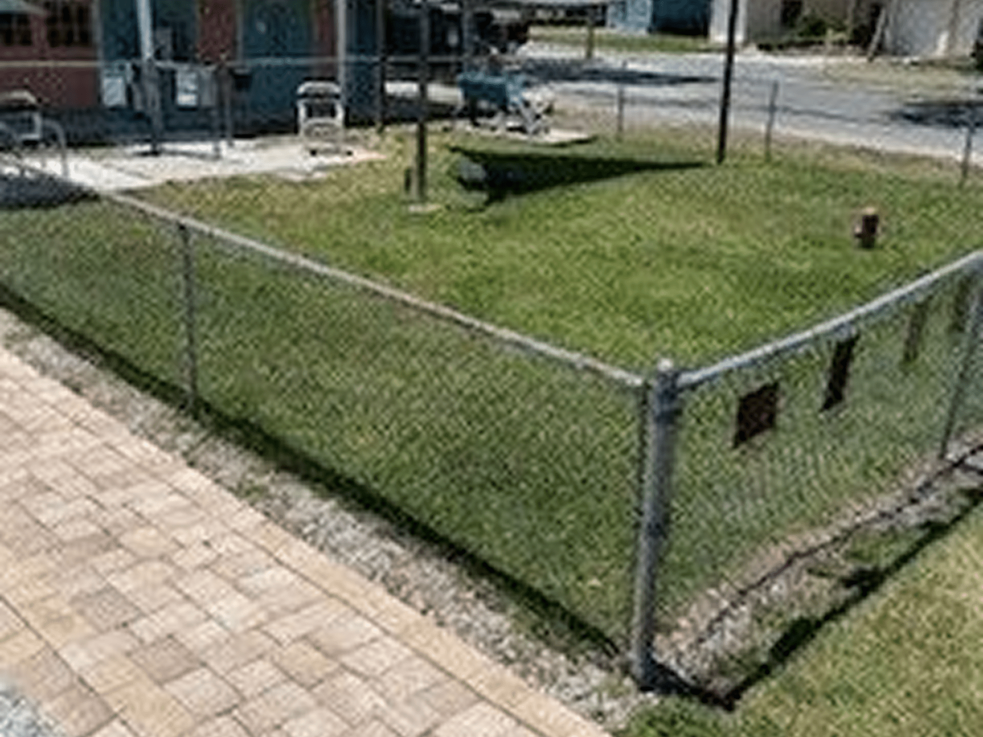 Green lawn enclosed by metal fence
