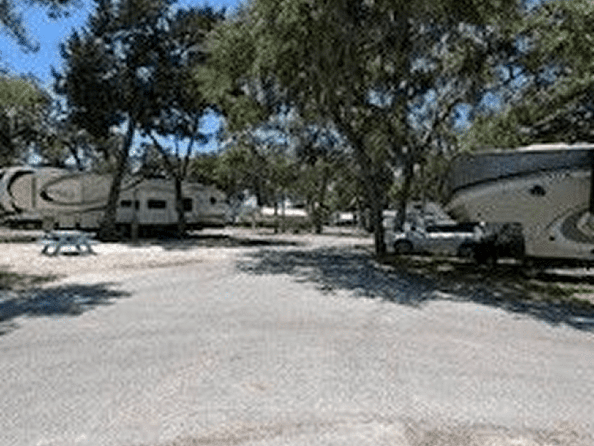 Campsite with parked RVs