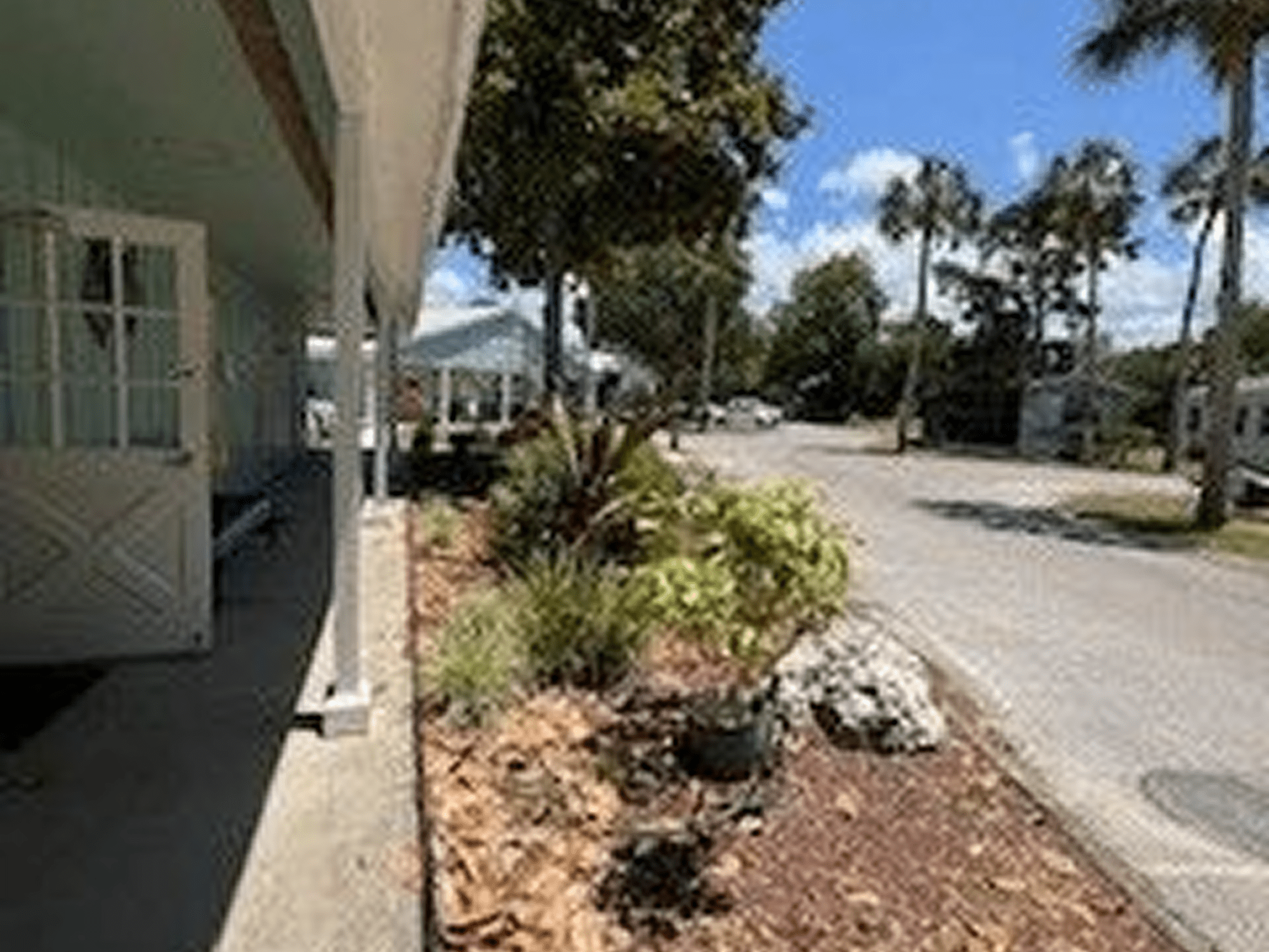 Street with tropical plants and palm trees
