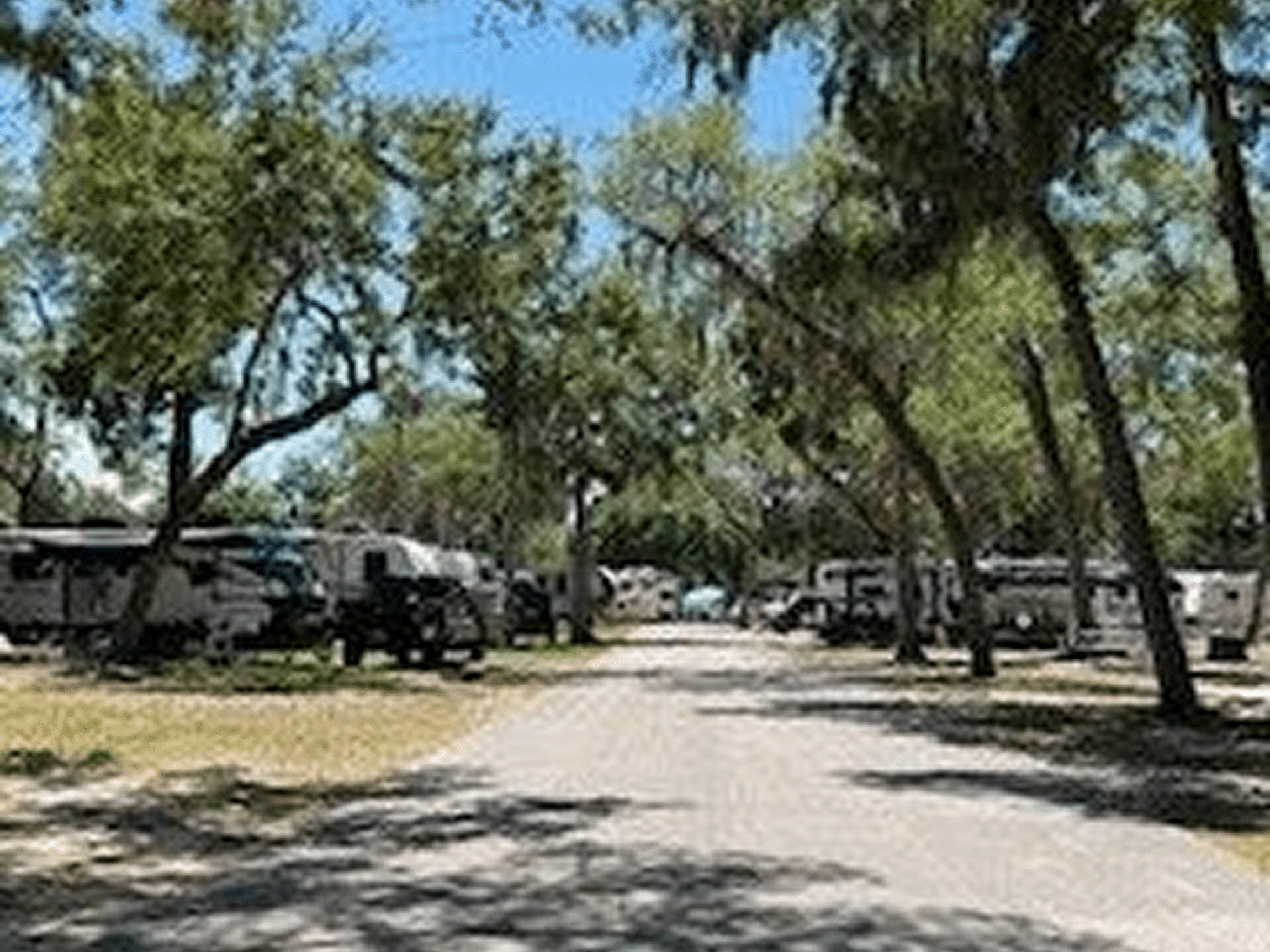 Peaceful RV site under blue sky