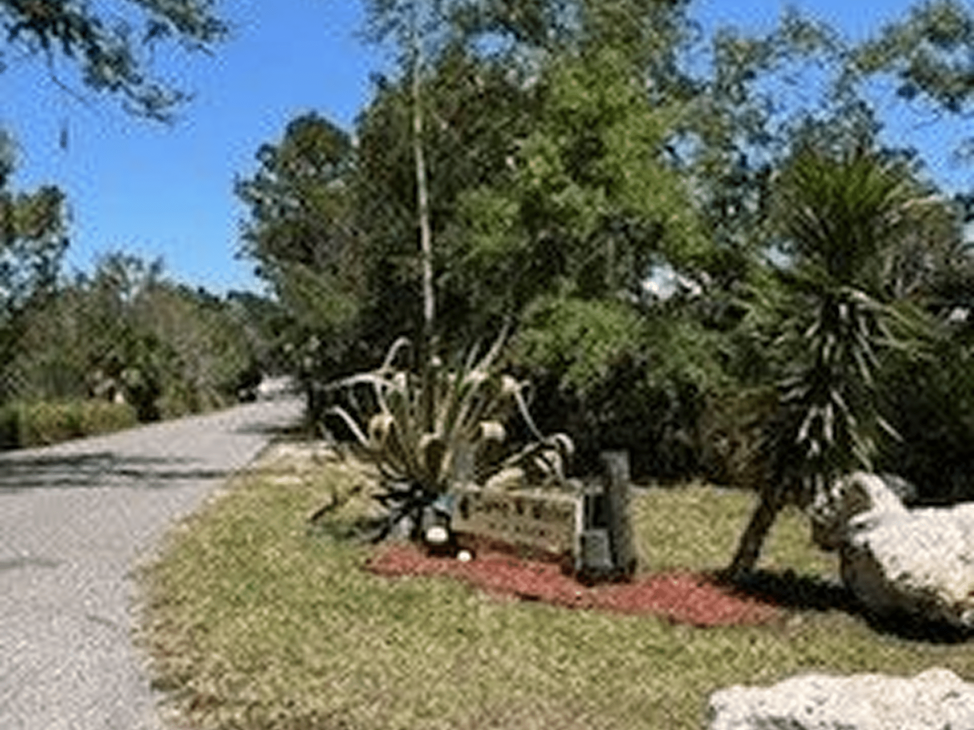 Rural scene with plants and blue sky