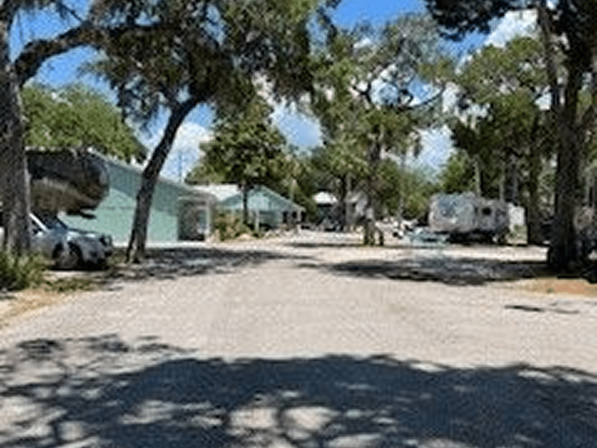 Tree-lined street with buildings and RVs